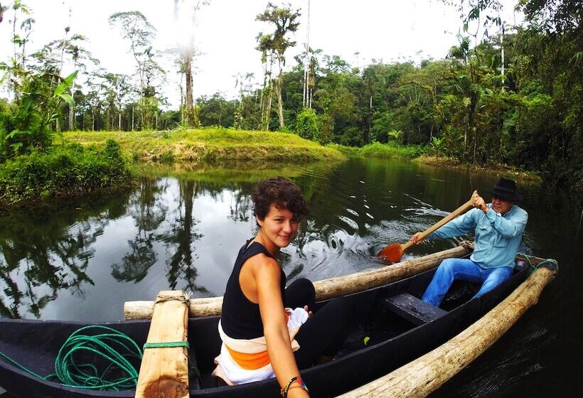 هتل Amuntai Rainforest Lodge