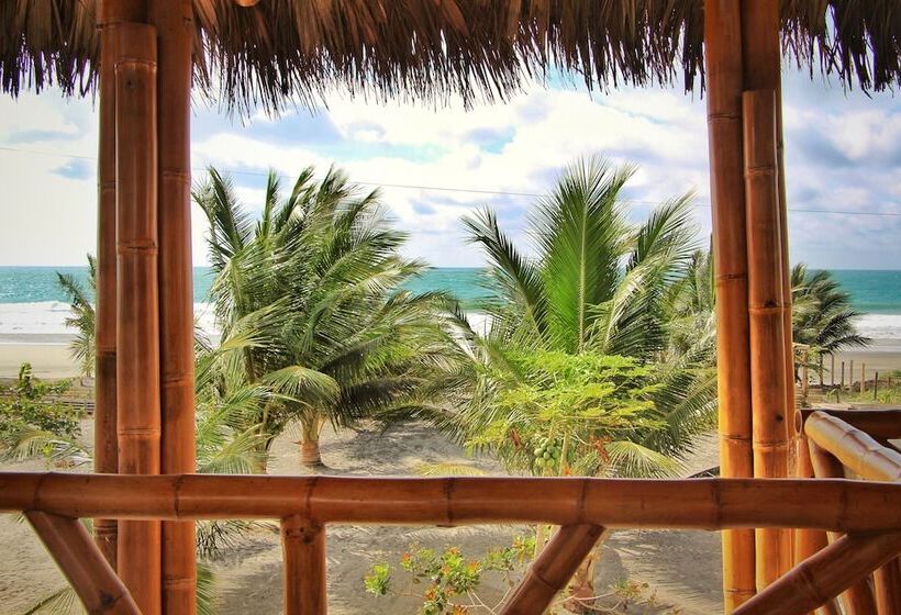 هتل Seaside Garden Ecolodge Mompiche