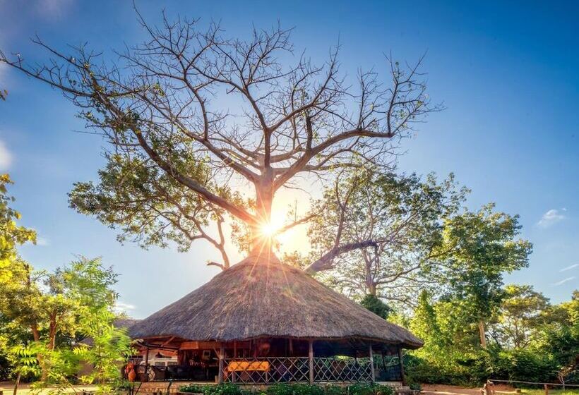 酒店 Selous Butembo Tented Lodge Lotus