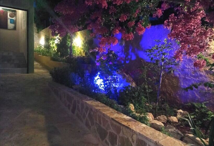 פנסיון Guest House Kithairon