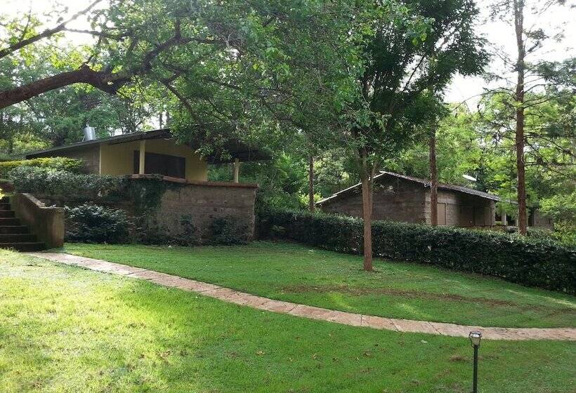 Savage Wilderness Hostel