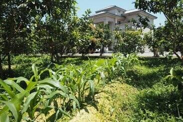 تختخواب و صبحانه Green Island Guest House
