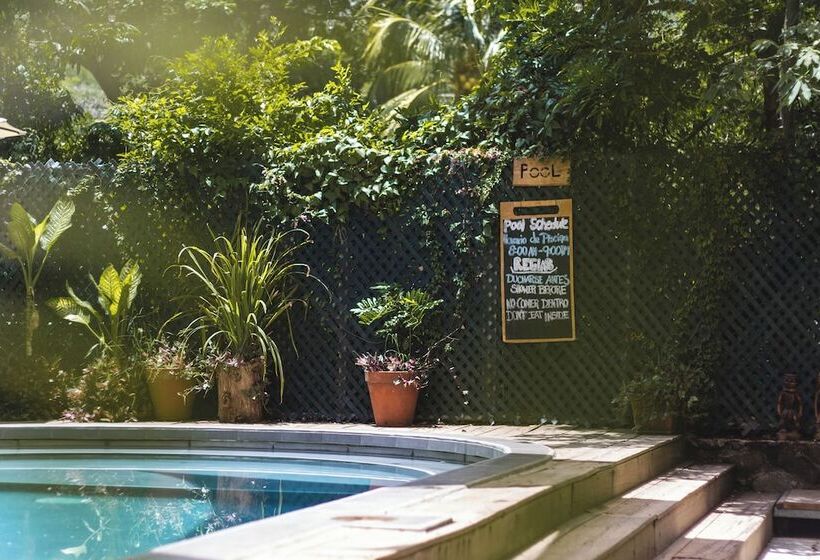 مبيت وإفطار Michanti