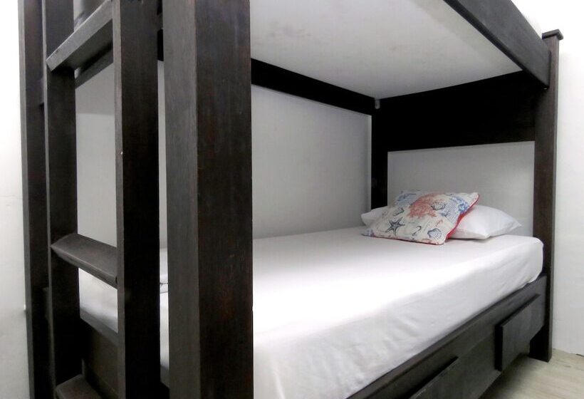 Hostal Pajara Pinta Hostel