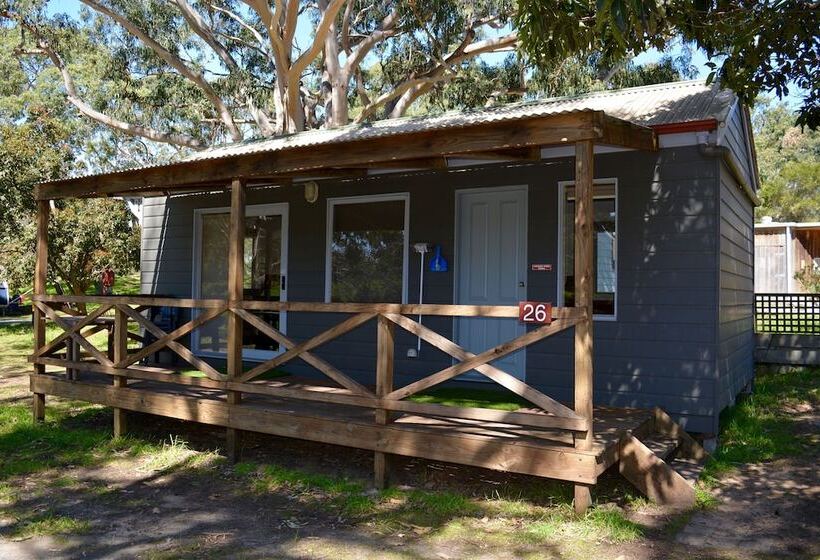 ホテル Bimbi Park   Camping Under Koalas