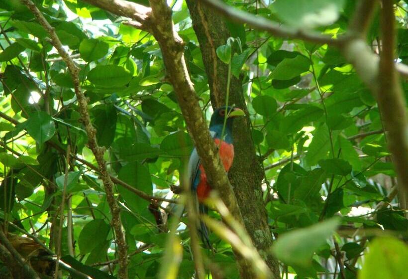 בית מלון כפרי Casa Grande Ecolodge At Pacuare Reserve
