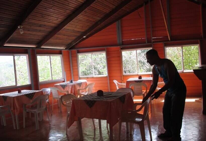 هتل Flemming Tree