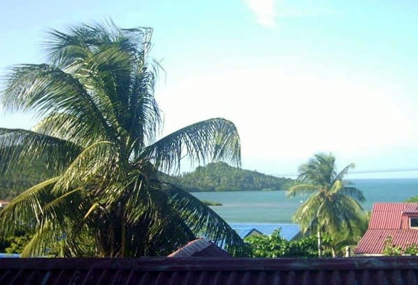 هتل Flemming Tree