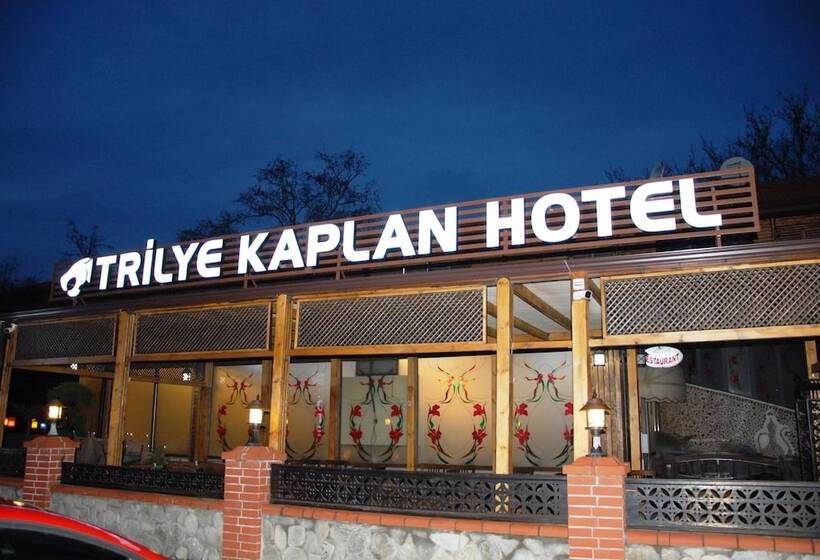 هتل Trilye Kaplan