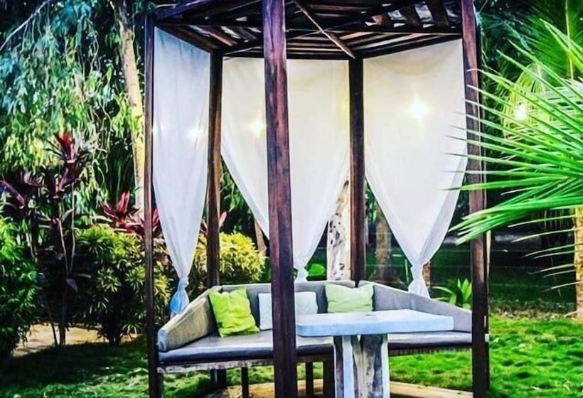 هاستل Las Dunas Surf Resort