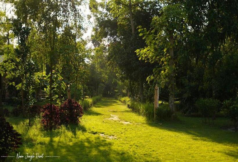 Nana Jungle Resort