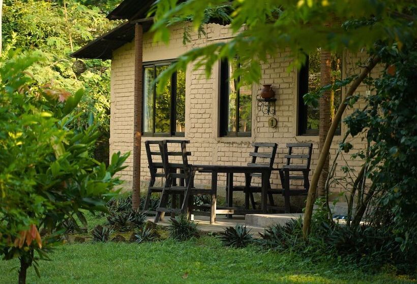 Nana Jungle Resort