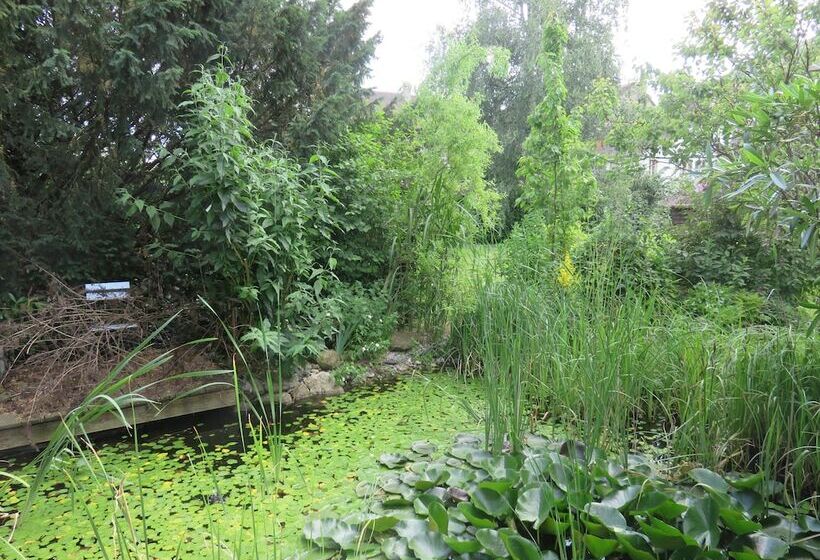 بنسيون Bed & Breakfast Erlach