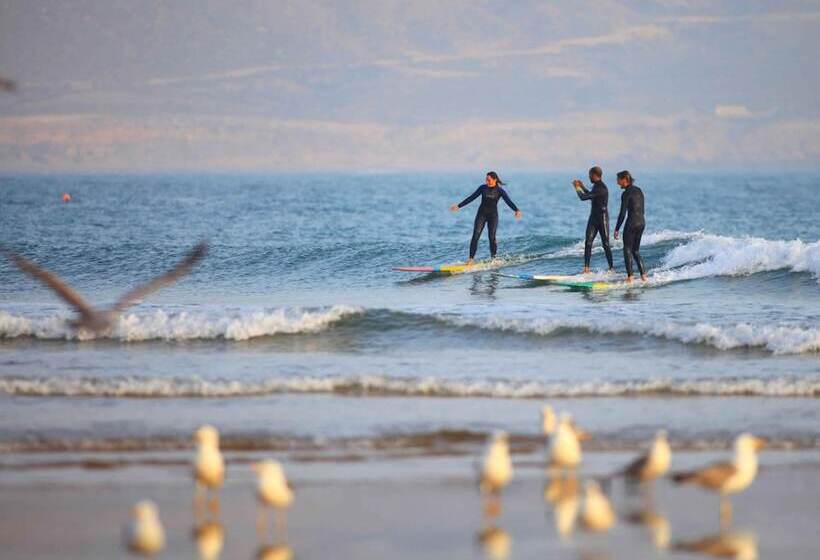 پانسیون Travel Surf Morocco