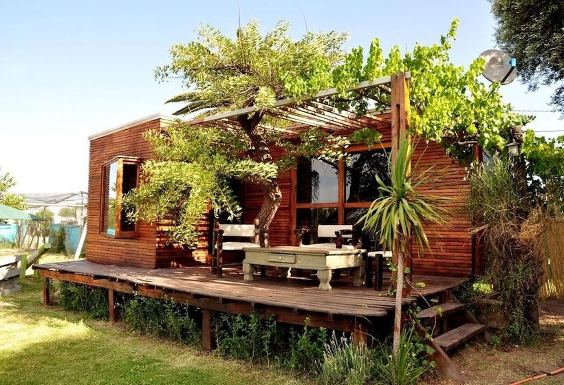 Sangiovese Club House