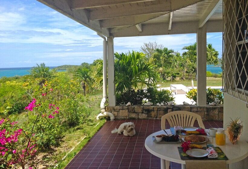 تختخواب و صبحانه Blue Bay Antigua