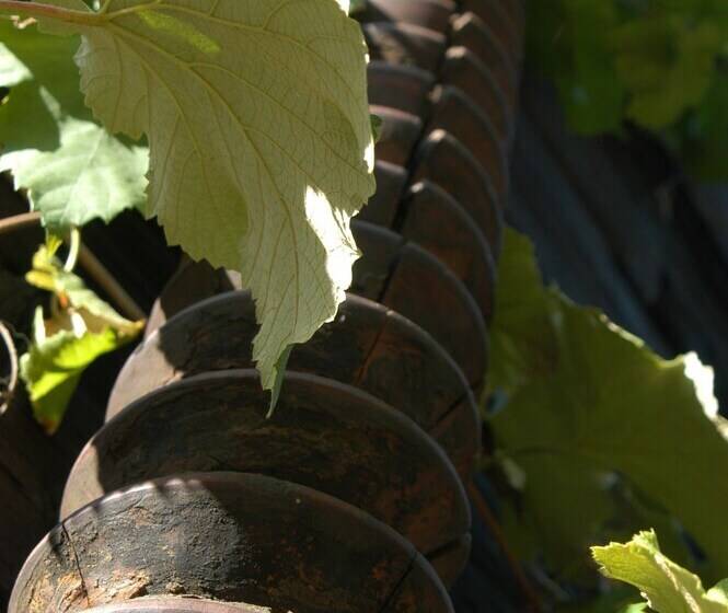 ベッドアンドブレックファースト Weingut Primus   Südsteiermark