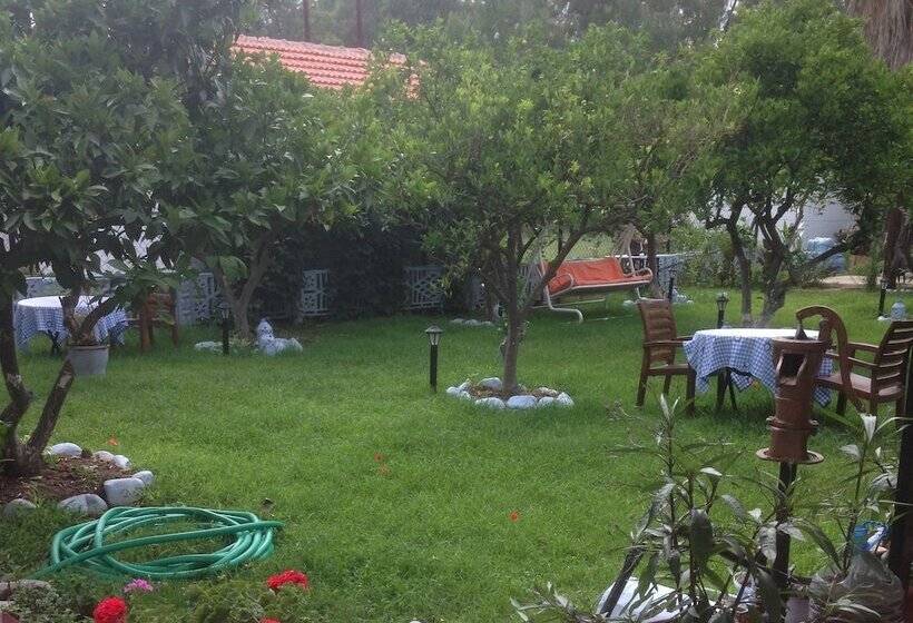 Отель Gelincik Pansiyon