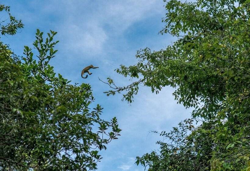 فندق Green Forest Ecolodge