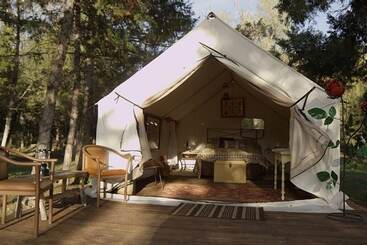 هتل Norwegian Wood Ranch