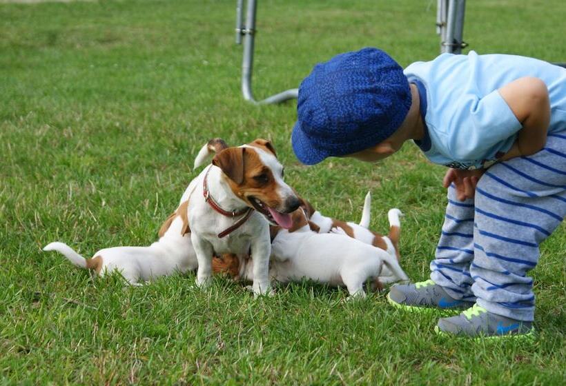 교외 호텔 Agroturystyka żabi Raj