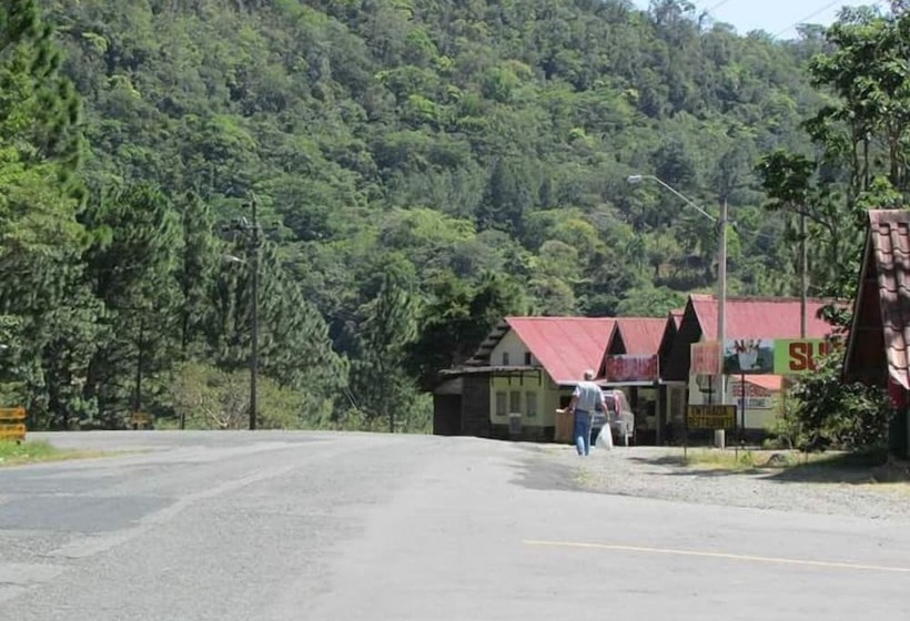 Roots Hostel
