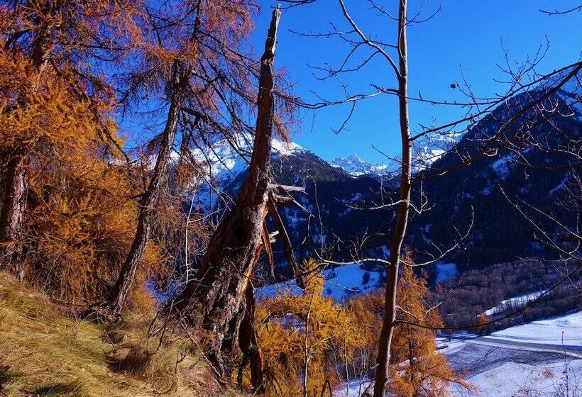 Villa Stelvio Bed & Breakfast