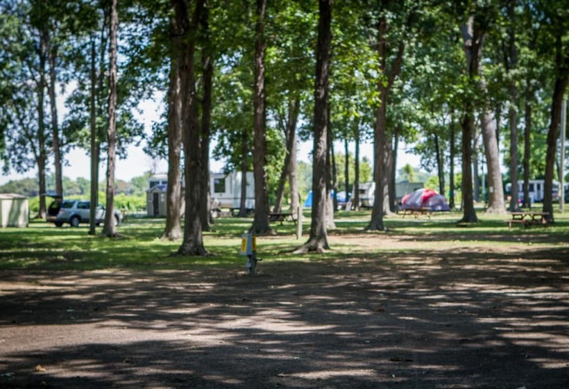 Willowood Rv Resort