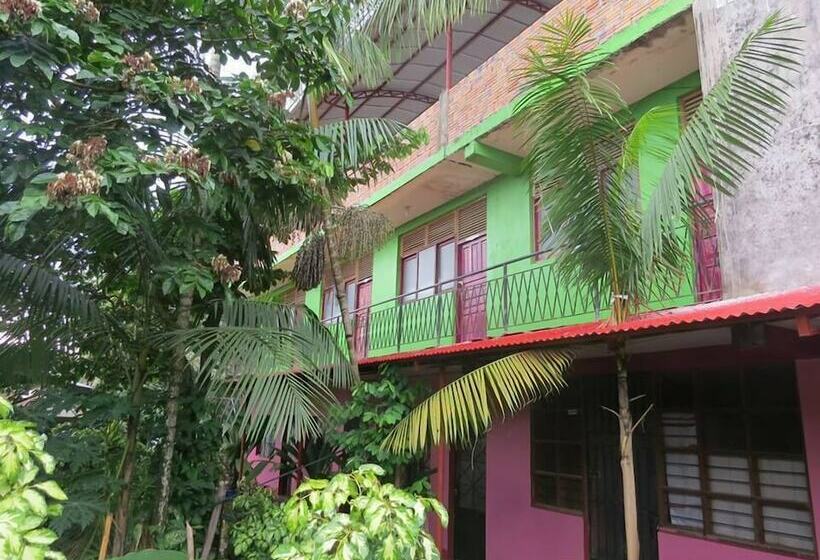 Bambú   Hostel