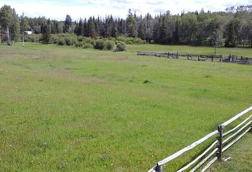 住宿加早餐  Attwood Creek Ranch