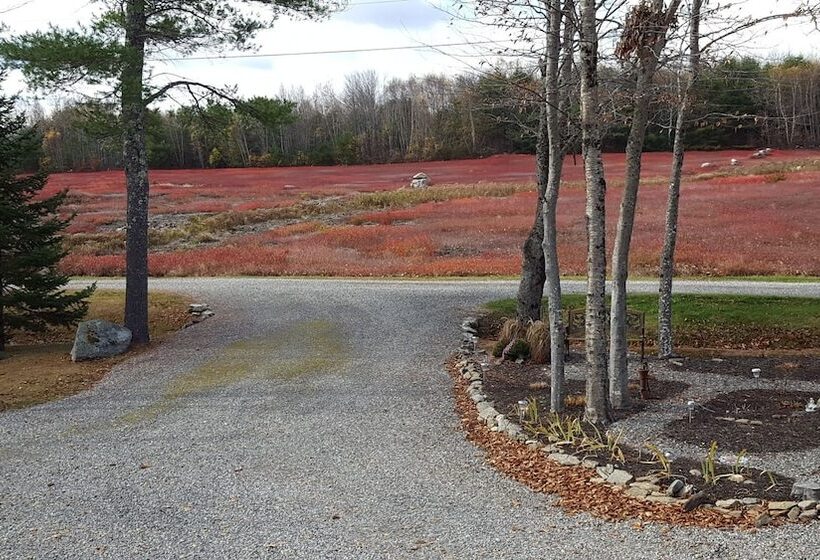 Blueberry Fields B&b