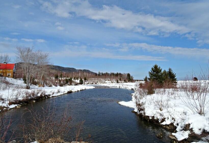 Cabot Shores