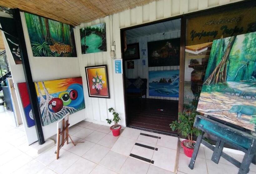 فندق فئة نجمة واحدة Hospedaje La Galerie