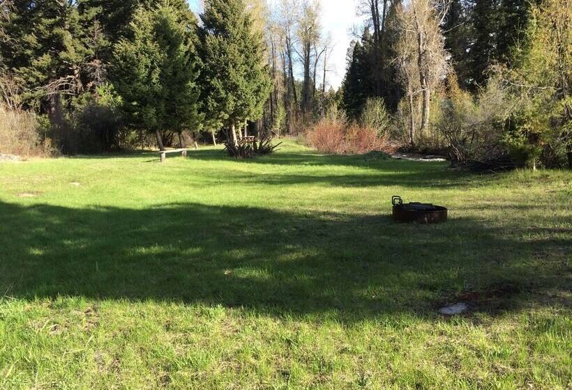 ホテル Boulder Creek Lodge   Campsite
