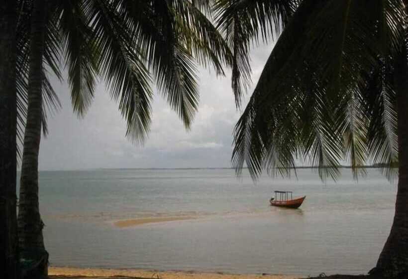 هتل Daltons Banana Guesthouse