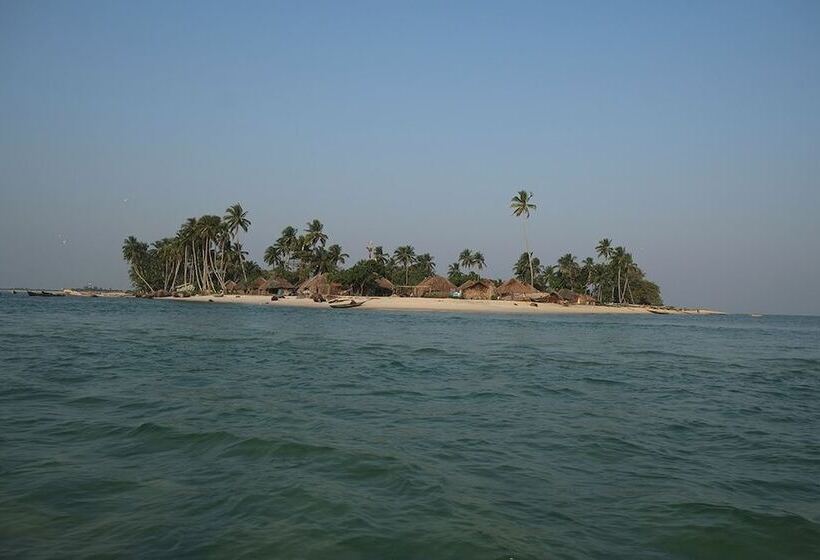 هتل Daltons Banana Guesthouse
