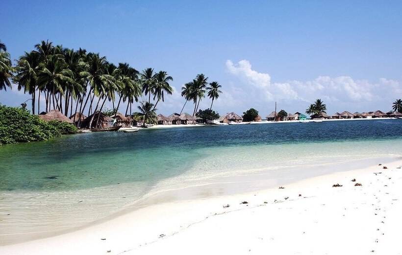 هتل Daltons Banana Guesthouse