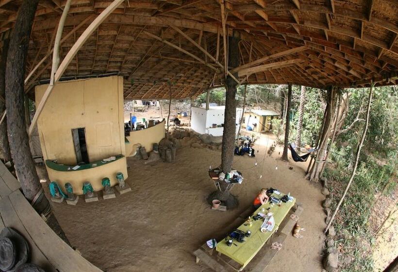 هتل Daltons Banana Guesthouse