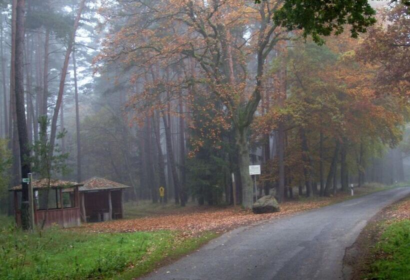 ホテル Steffi S Zimmervermietung