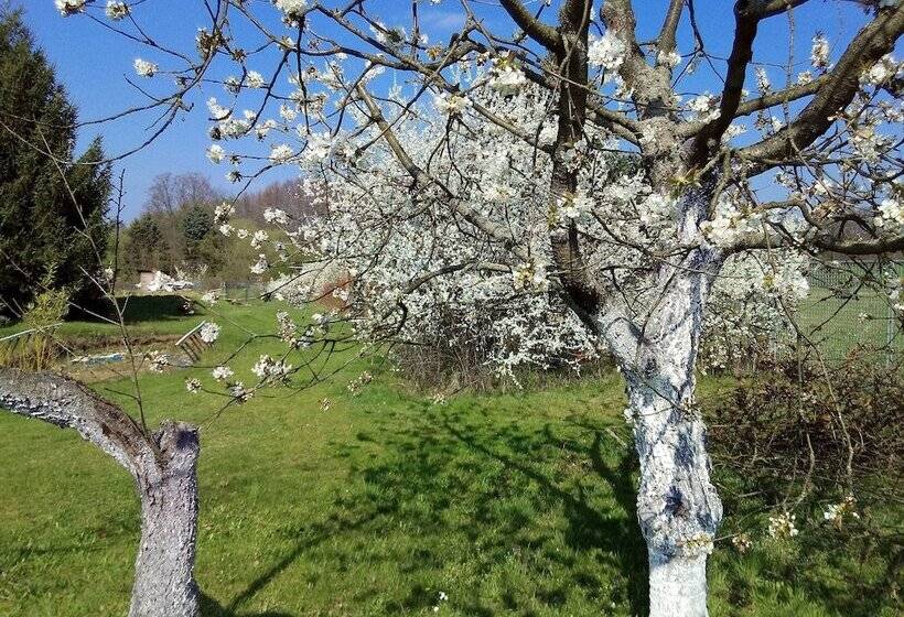 Отель Steffi S Zimmervermietung