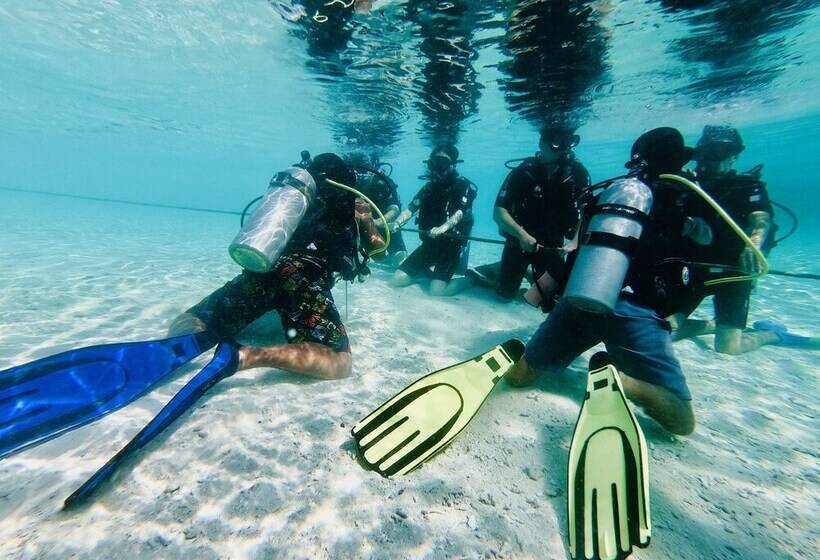 酒店 The Reef Dive Resort