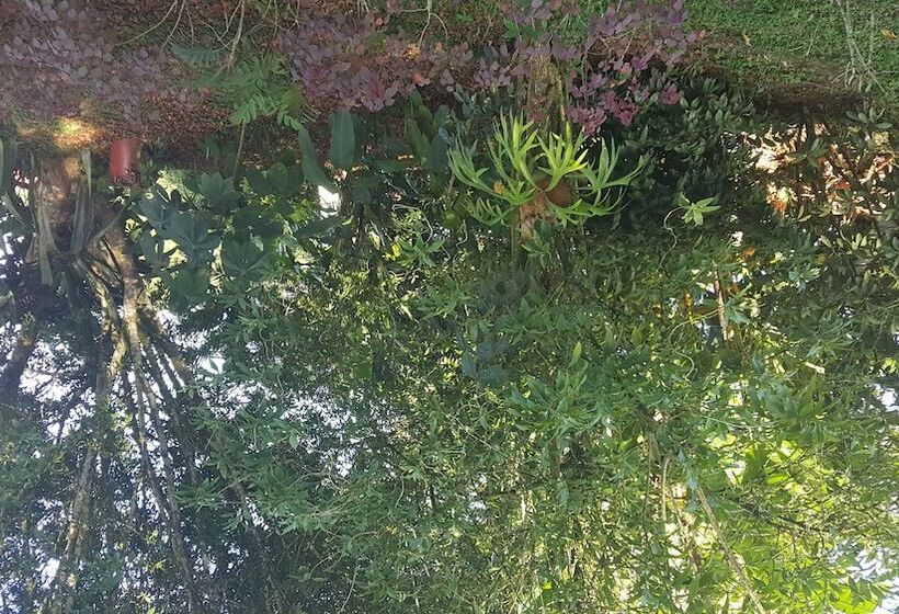 ホテル Vista Al Tortuguero