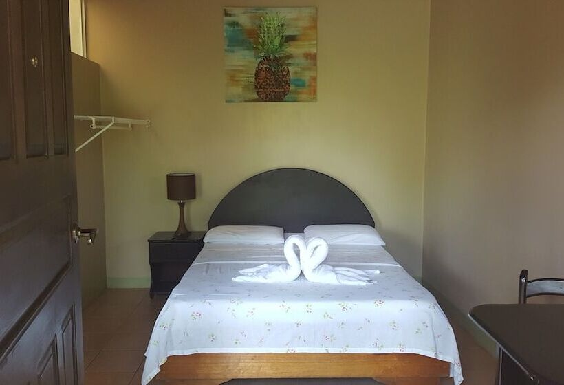 ホテル Vista Al Tortuguero