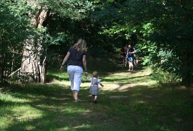 פנסיון Ferienparadies Waldidylle