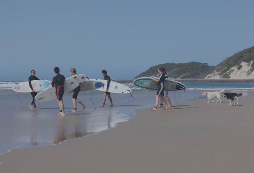 Общежитие Buccaneers Backpackers