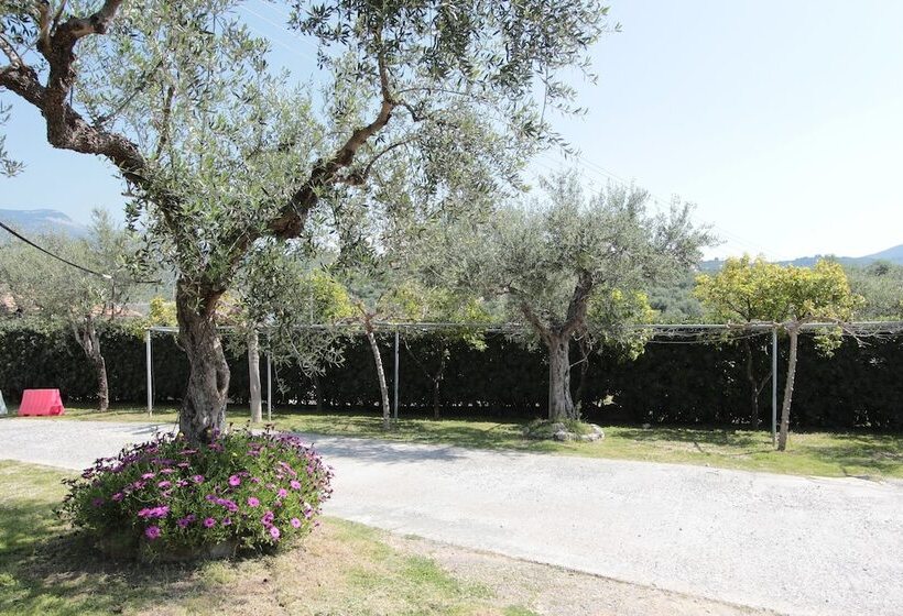 Apollon Apartments