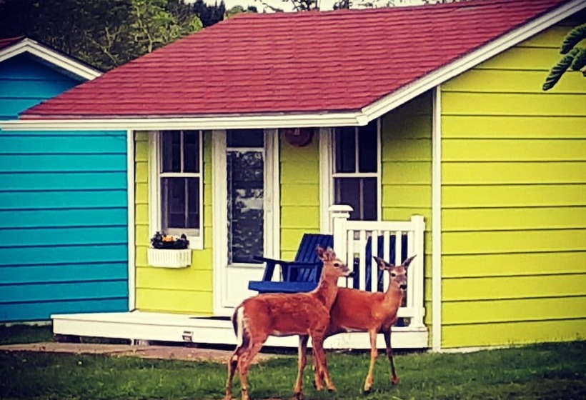 Atlantic View Motel And Cottages