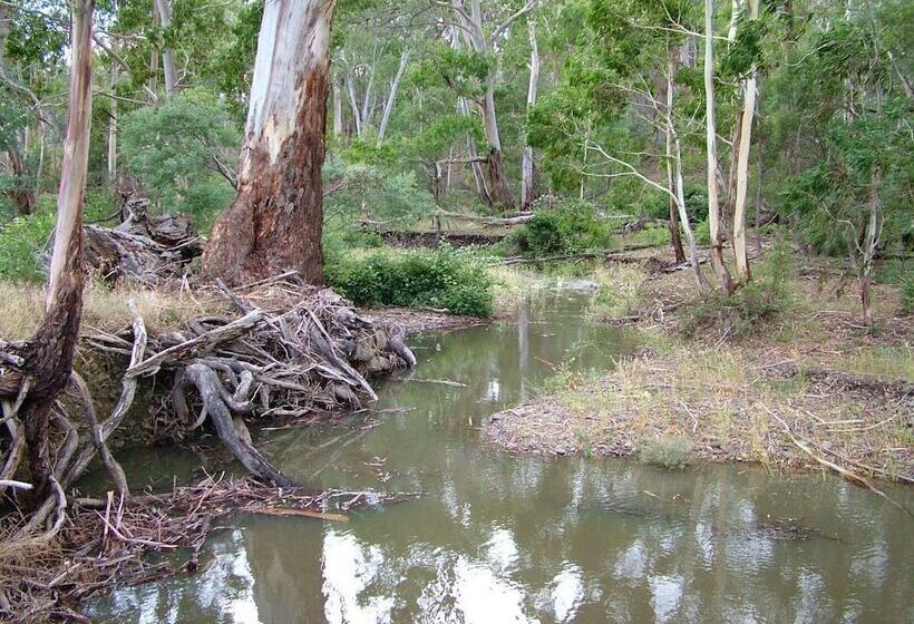 Berner B&b, Halls On Falls Homestead