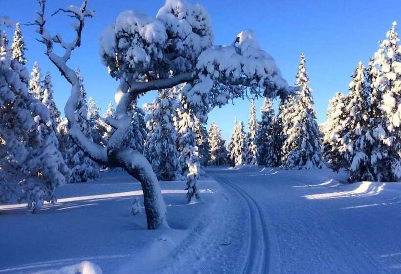 فندق فئة نجمة واحدة Sonfjällsgården Wärdshus & Hotell
