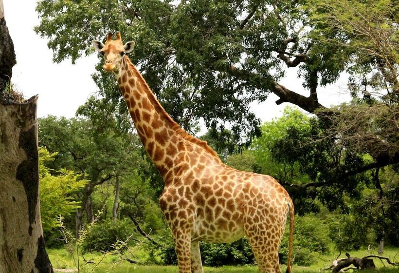 هتل Fathala Wildlife Reserve
